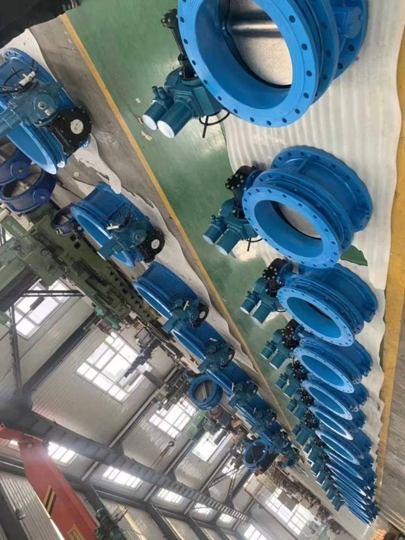 Expansion Joint Concentric Butterfly Valve